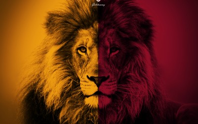 绿茵电竞快讯-迪马尔科任意球绝技